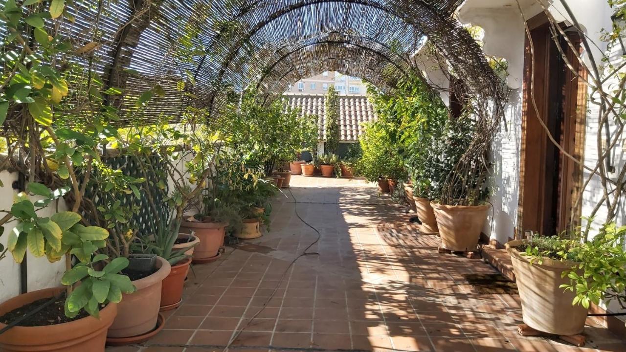 El Jardin De Wallada Кордова Экстерьер фото